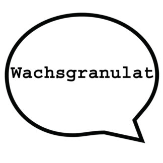 Wachs