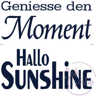 Reliefeinlage für Seifengiessform CafeCreativ.ch